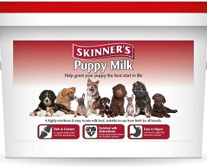 COUNTRY WAREHOUSE SKINNERS PUPPY MILK